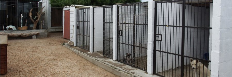 Gansbaai Naderende BARC Gholfdag_1